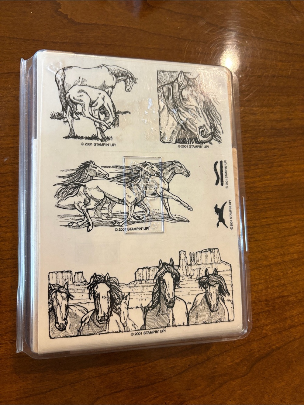 NWOT! Stampin' Up! Black and White “Equestrian Dream” Stamp Set
